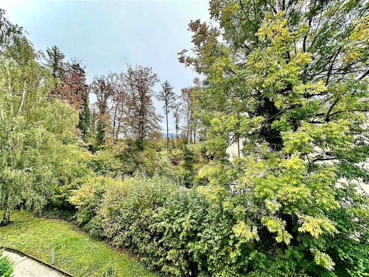 Bureaux, locaux de 175 m2 à louer à Lausanne