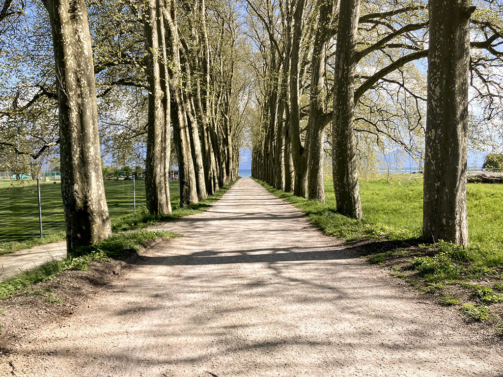 LAUSANNE SUD-OUEST - MAISON RENOVEE - LAC A 500M
