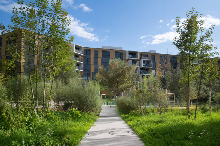 Studio contemporain Minergie au cœur du quartier OASSIS
