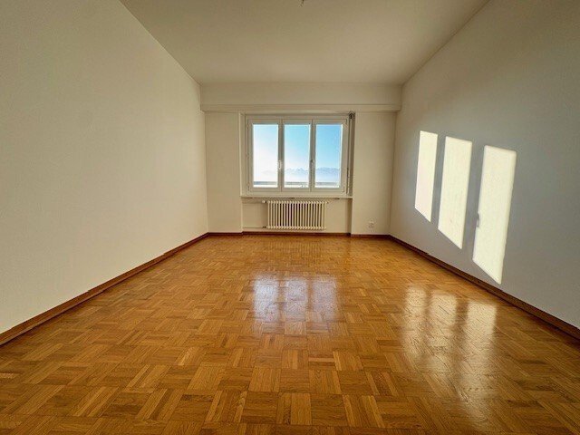 Magnifique appartement avec vue imprenable sur le lac