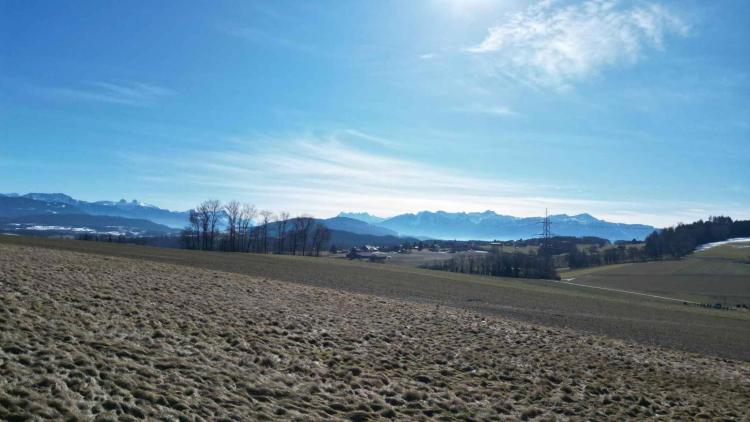 Propriété de caractère offrant trois logements et un local commercial