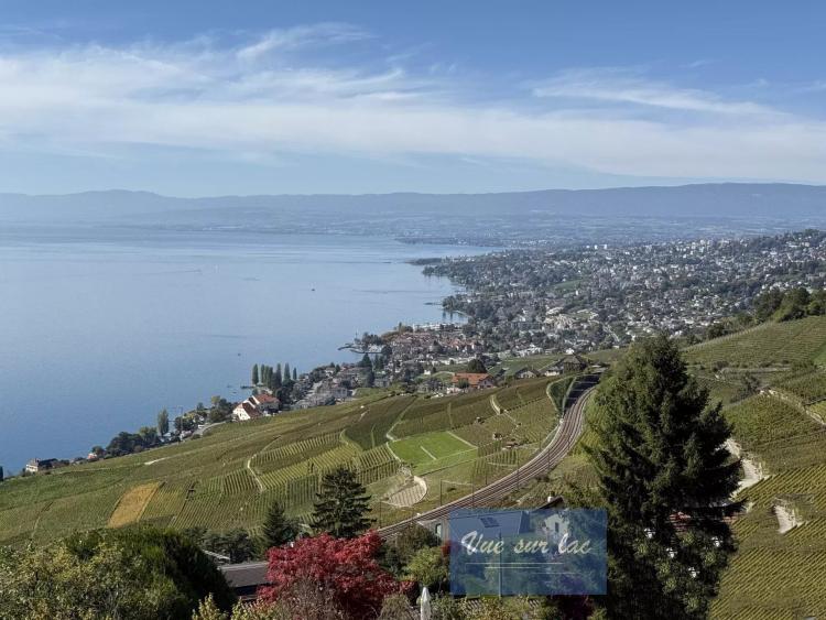 Apartment for sale in Bourg-en-Lavaux, CH