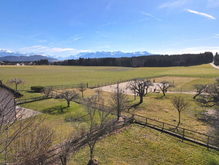 Villa mitoyenne de 5.5 pièces