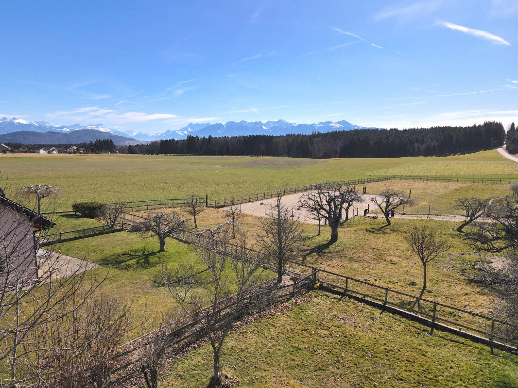 Villa mitoyenne de 5.5 pièces